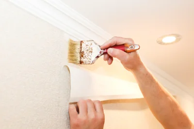 Pose de papier peint à Montouliers — revêtements muraux et toiles de verre